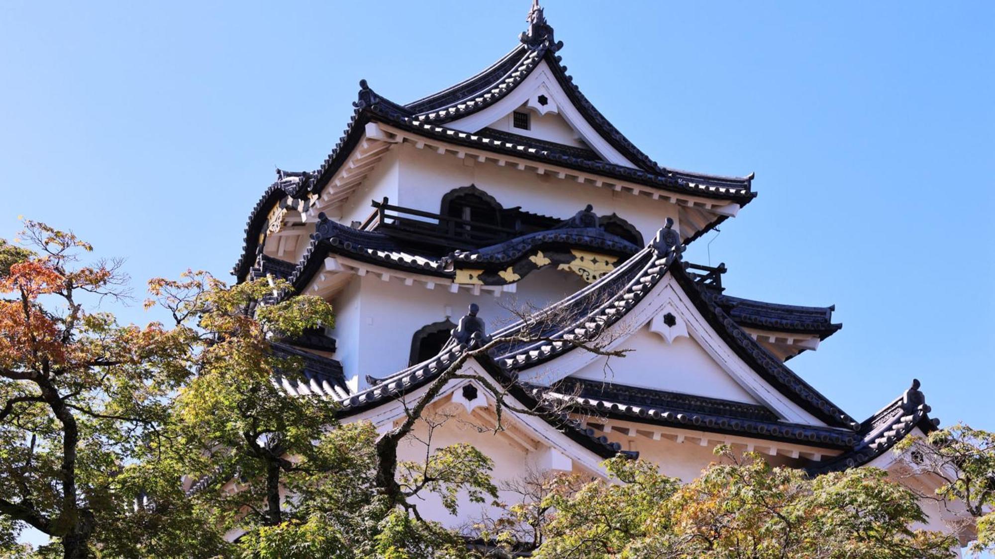 Toyoko Inn Hikone Eki Higashi Guchi Eksteriør billede